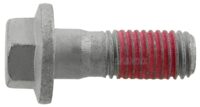 Bolt til bremsekaliperholder – foraksel (original Volvo), Volvo S60 V60 XC60 S80 V70 XC70 S90 V90 XC90